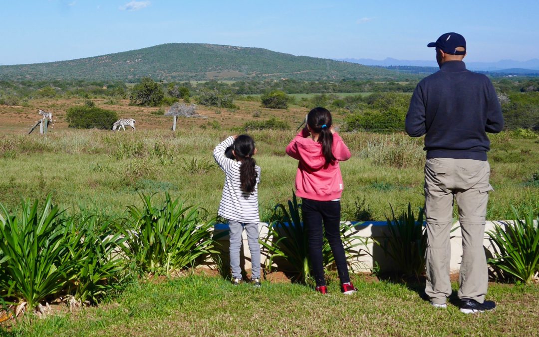 13 Things To Do With The Family On The Garden Route